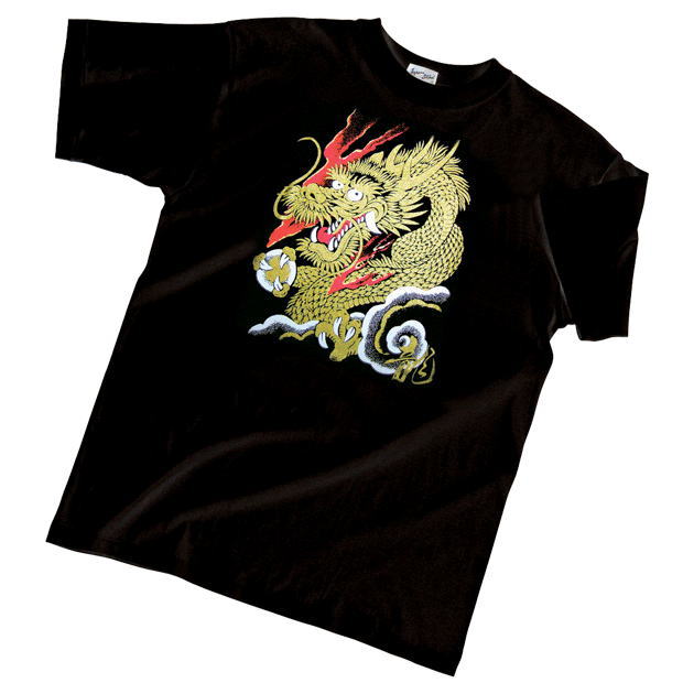 Photo1: Japanese T-Shirts (C-005)　HIRYU　Dragon Free Shipping  (1)